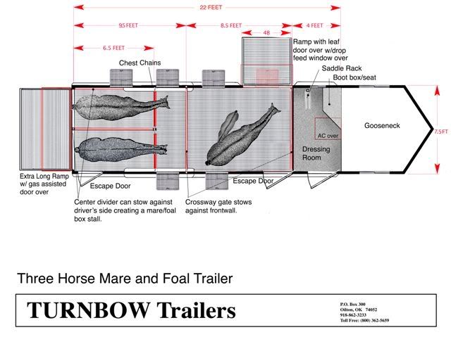 Image result for 2 + 1 horse trailer floorplans Horse