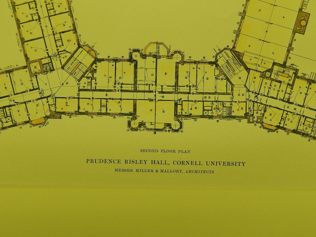 Floor Plan of Prudence Risley Hall at Cornell University