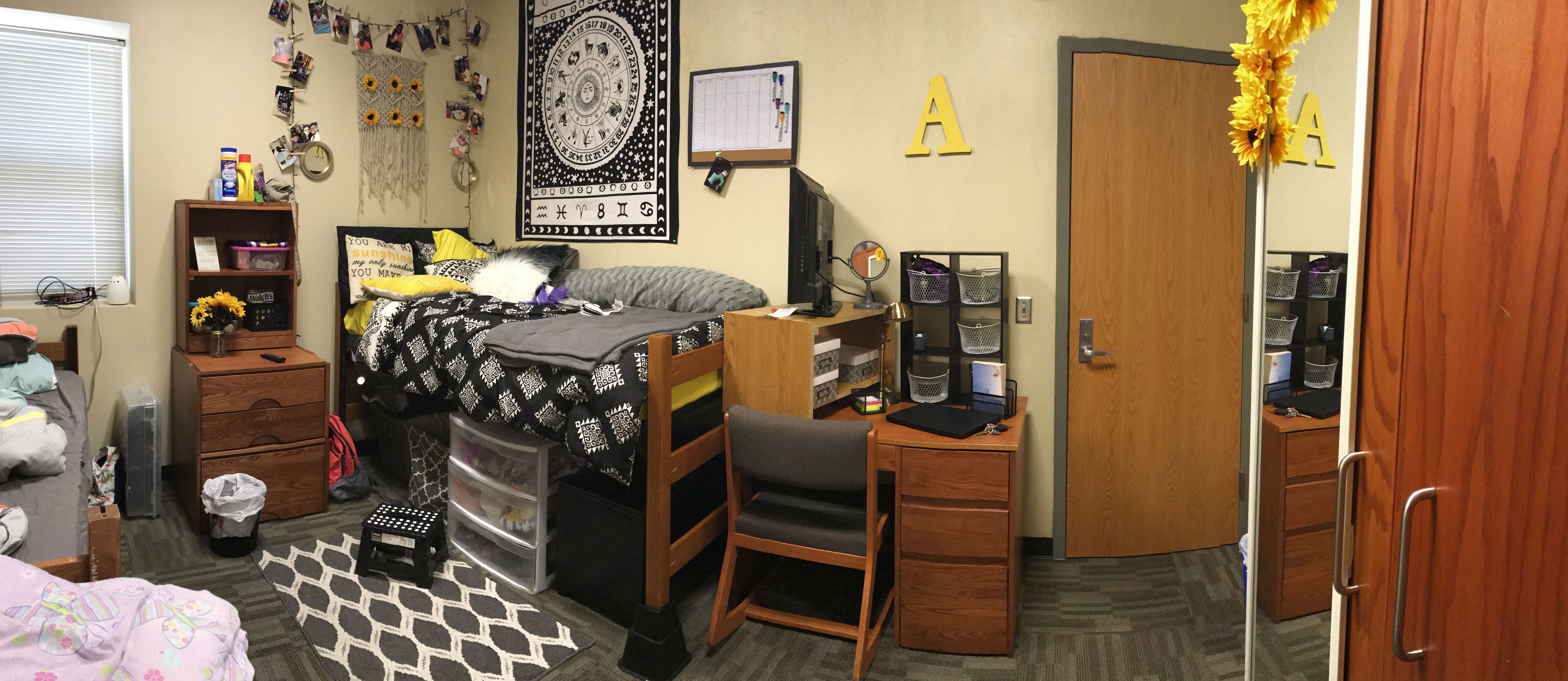 College Hill Suites ECU 20172018 Dorm room, Suites, Room