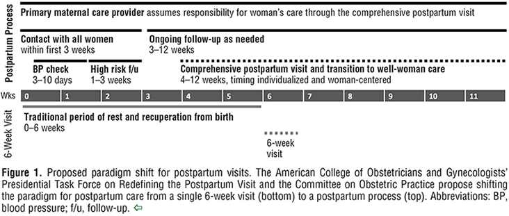 The 4th Trimester Redefining Postpartum Care — Zion