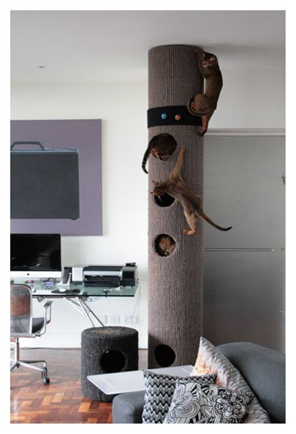 20+ Most Popular Cat Tree Ideas You Will Love FallinPets