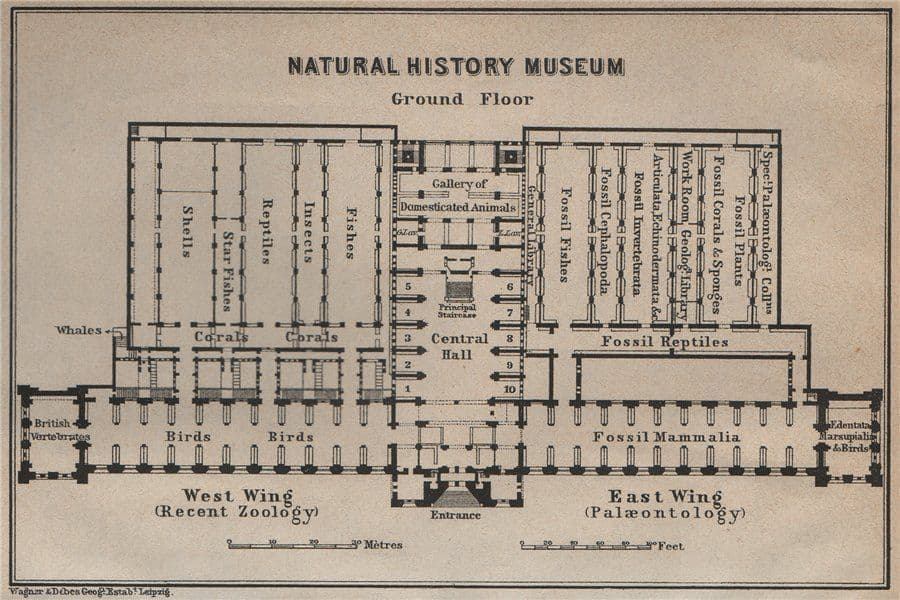 NATURAL HISTORY MUSEUM ground floor plan South Kensington